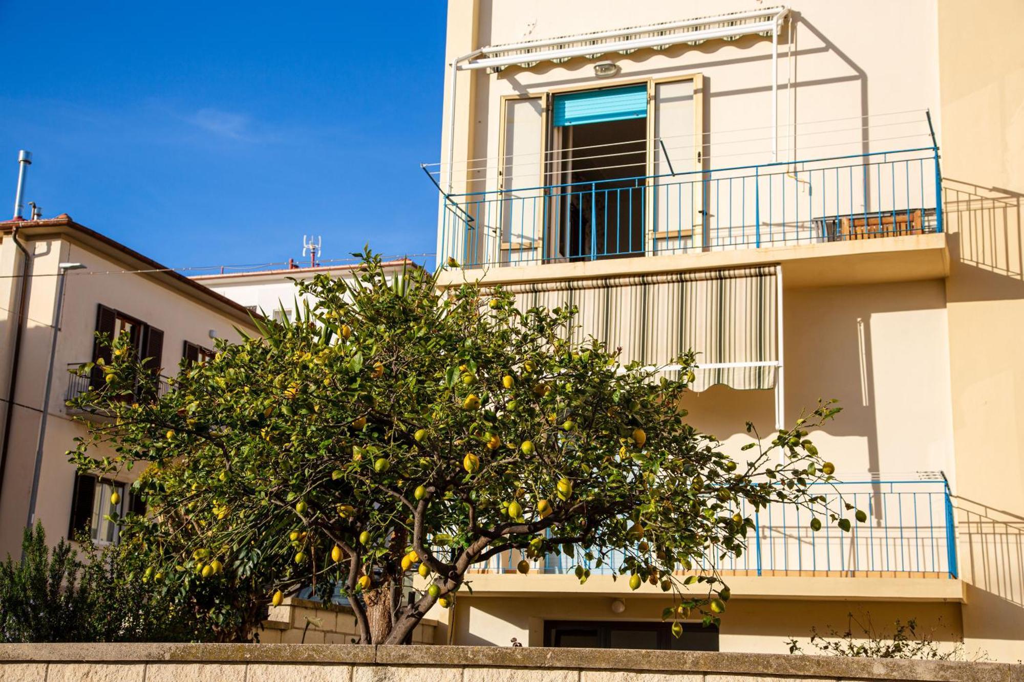 Appartamento Il Limone Zona Centrale Vista Mare San Vincenzo Zewnętrze zdjęcie
